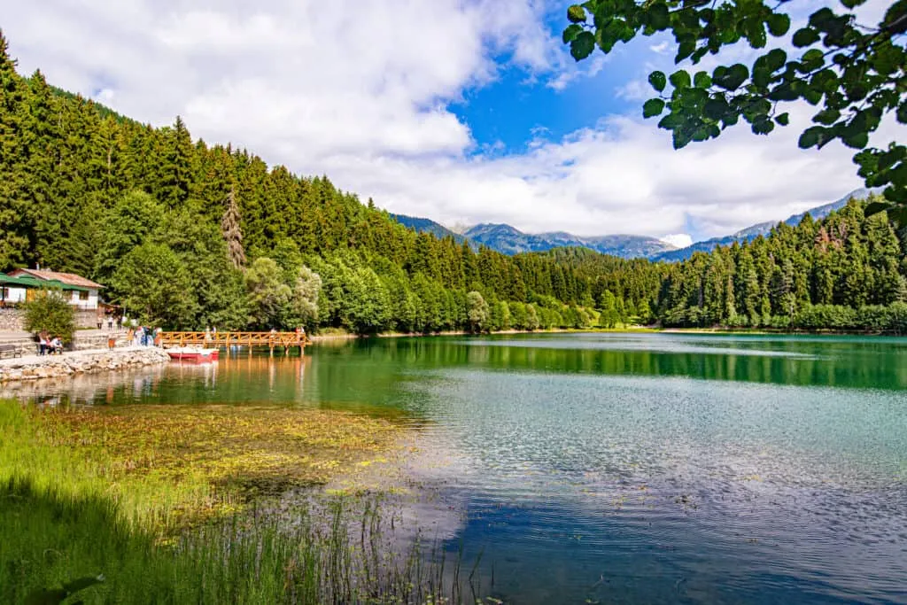 E.K.'DAN 05.02.2026 TARİHLİ 88+1 REZİDANS